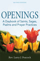 Book cover of: Openings (2nd Edition). By: Larry J. Peacock