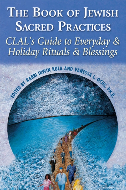 Book cover of: Book of Jewish Sacred Practices. By: Vanessa L. Ochs