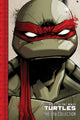 Book cover of: Teenage Mutant Ninja Turtles: The IDW Collection Volume 1. By: Kevin B. Eastman
