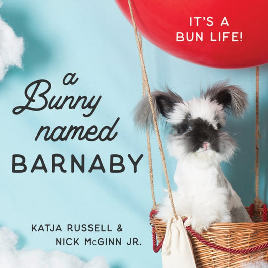 Book cover of: Bunny Named Barnaby. By: Katja Russell