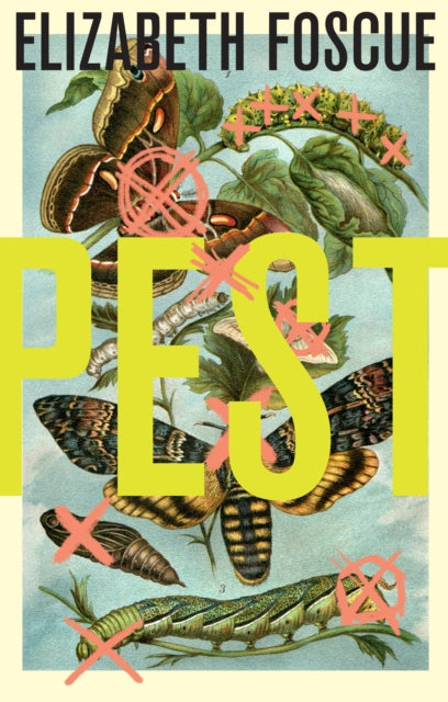 Book cover of: Pest. By: Elizabeth Foscue