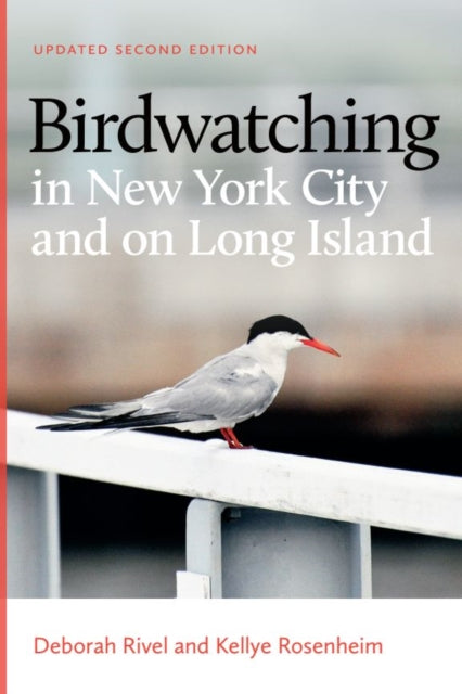 Book cover of: Birdwatching in New York City and on Long Island. By: Deborah Rivel