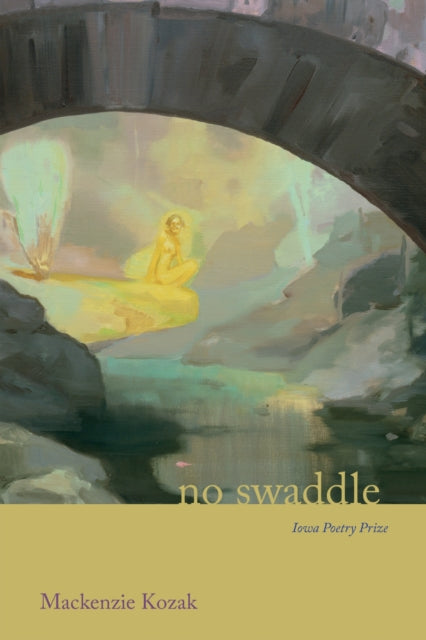Book cover of: no swaddle
