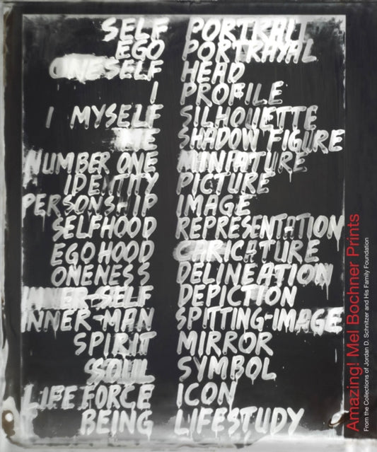 Book cover of: Amazing! Mel Bochner Prints. By: Mel Bochner