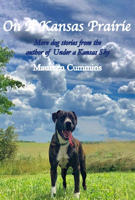 Book cover of: On a Kansas Prairie. By: Maureen Cummins