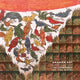 Book cover of: Graham Day: Monoprinted Paintings of the Conference of the Birds. By: Rose Issa