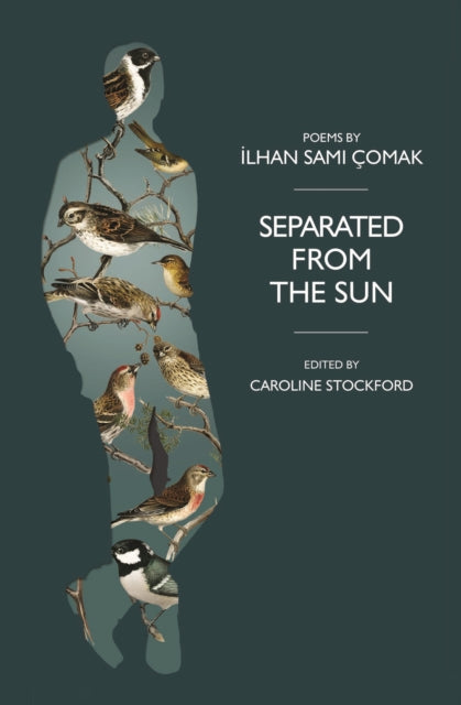 Book cover of: Separated from the Sun. By: ?OMAK