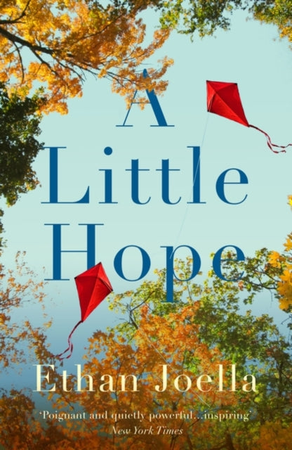 Book cover of: Little Hope