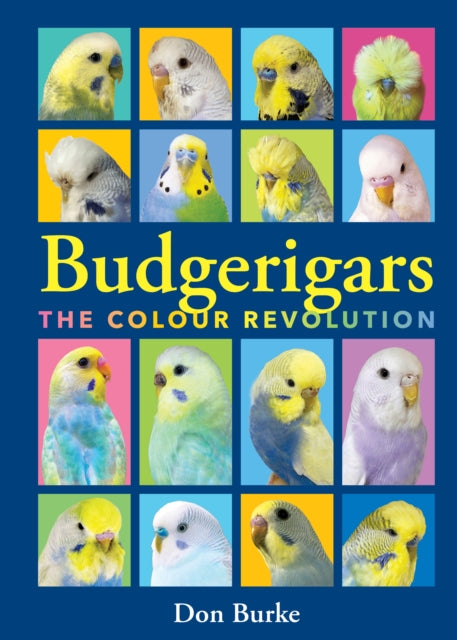 Book cover of: Budgerigars