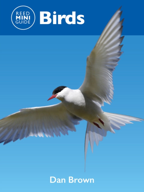 Book cover of: Reed Mini Guide: Birds