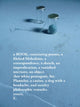 Book cover of: Unmemntioable. By: Erin Mouré