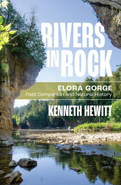 Book cover of: Rivers in Rock