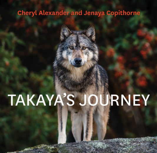 Book cover of: Takaya's Journey. By: Cheryl Alexander