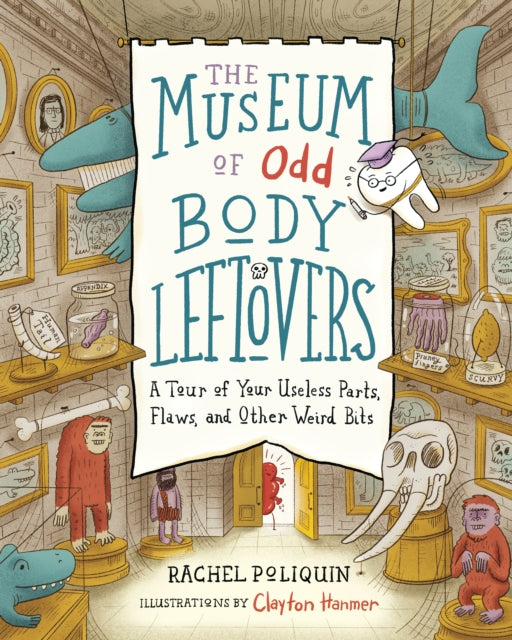 Book cover of: Museum of Odd Body Leftovers. By: Rachel Poliquin