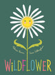 Book cover of: Wildflower. By: Melanie Brown