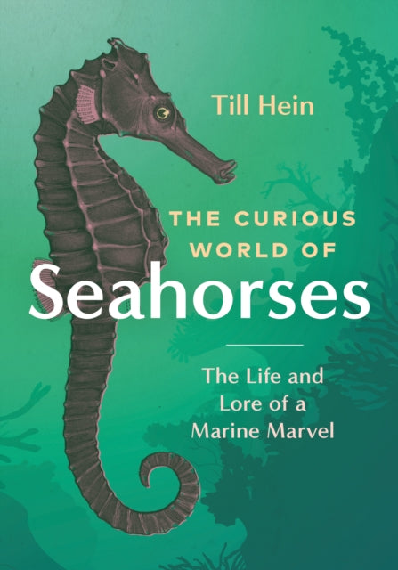 Book cover of: Curious World of Seahorses. By: Till Hein