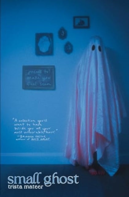 Book cover of: Small Ghost. By: Trista Mateer