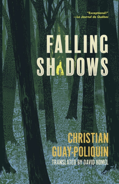 Book cover of: Falling Shadows. By: Christian Guay-Poliquin