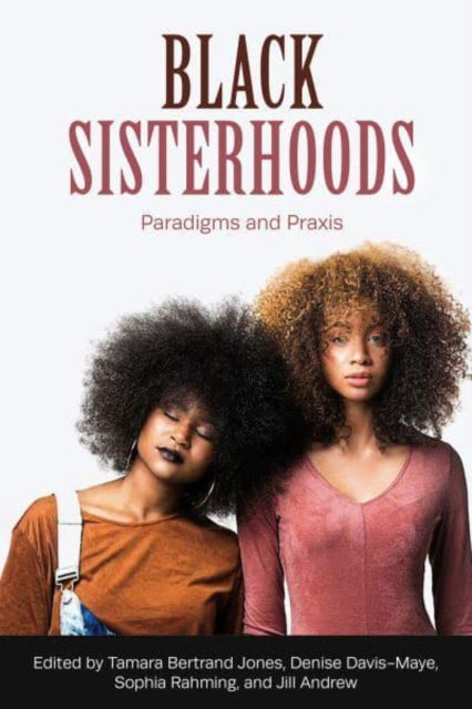 Book cover of: Black Sisterhoods: Paradigms and Praxis. By: Denise Davis Maye