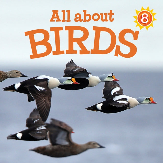 Book cover of: All about Birds. By: Jessie Hale