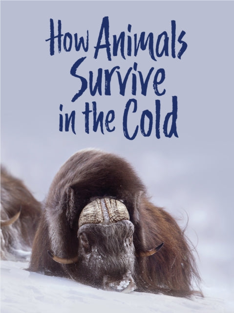 Book cover of: How Animals Survive in the Cold. By: Kelly Graham