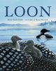 Book cover of: Loon. By: Susan Vande Griek