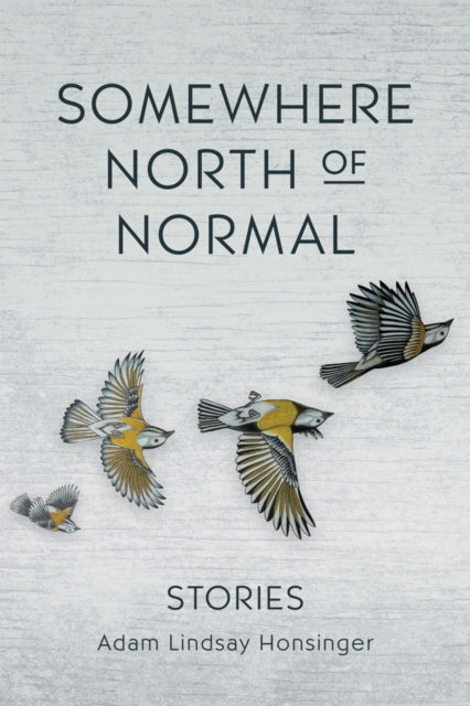 Book cover of: Somewhere North of Normal. By: Adam Lindsay Honsinger