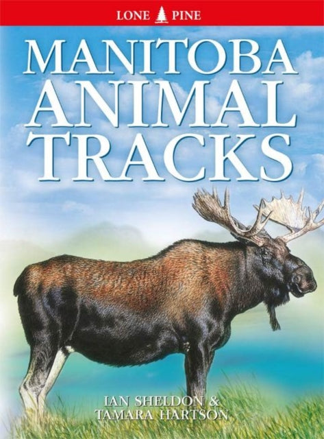 Book cover of: Manitoba Animal Tracks