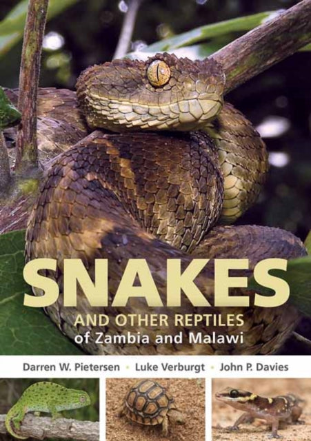 Book cover of: Field Guide to Snakes and other Reptiles of Zambia and Malawi. By: Darren W. Pietersen