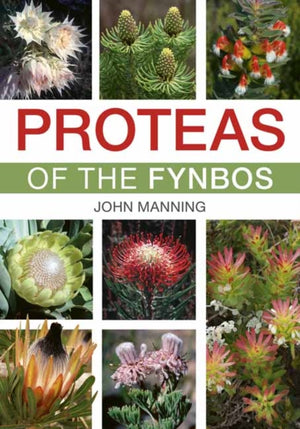 Proteas of the Fynbos