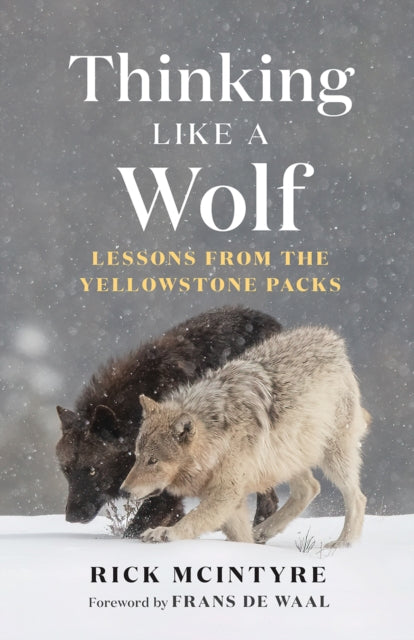 Book cover of: Thinking Like a Wolf. By: Rick McIntyre