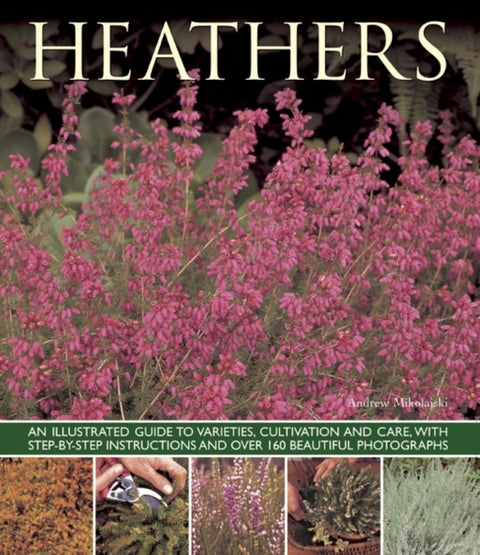 Heathers