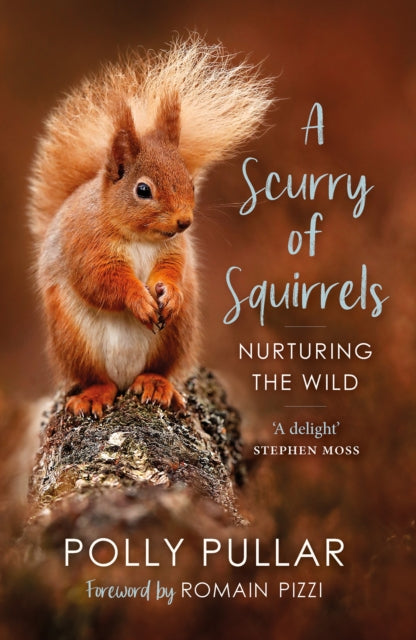 Book cover of: Scurry of Squirrels. By: Polly Pullar