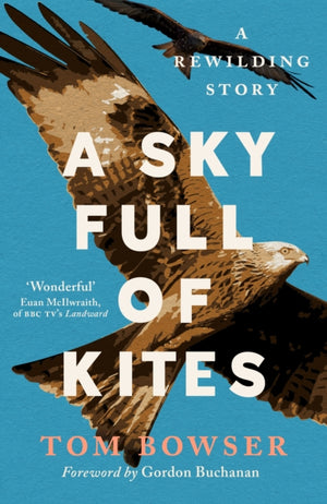 Sky Full of Kites, A Rewilding Story
