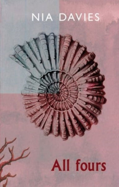 Book cover of: All fours. By: Nia Davies