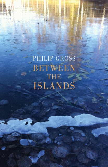 Book cover of: Between the Islands. By: Philip Gross