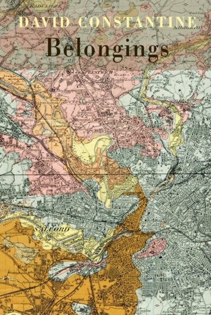 Book cover of: Belongings. By: David Constantine