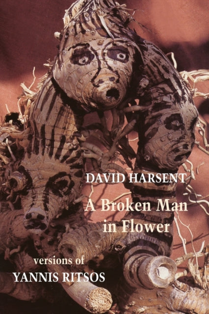 Book cover of: Broken Man in Flower. By: David Harsent