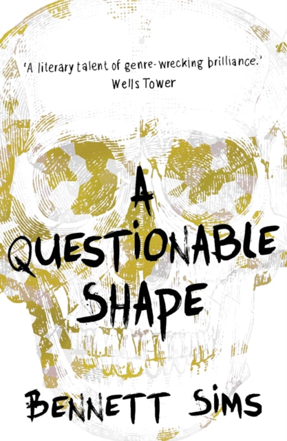 Book cover of: Questionable Shape. By: Bennett Sims