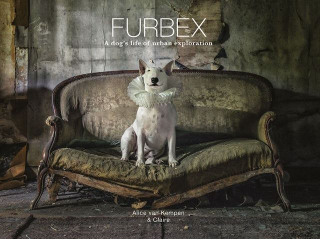Book cover of: Furbex. By: Alice van Kempen