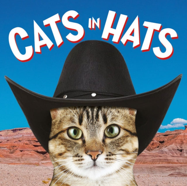 Book cover of: Cats in Hats. By: Ammonite Press