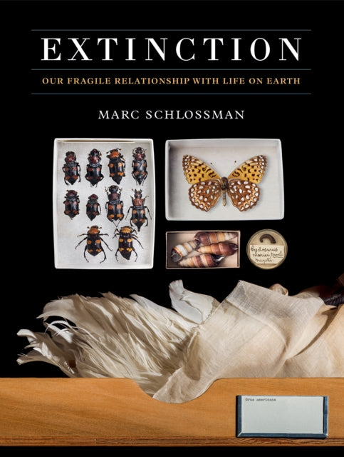 Book cover of: Extinction. By: Marc Schlossman