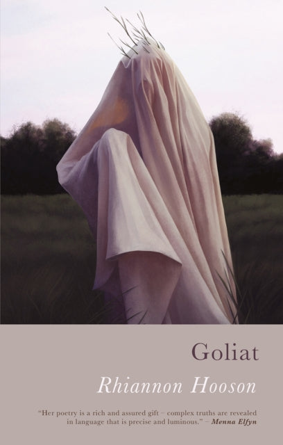 Book cover of: Goliat. By: HOOSON