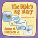 Book cover of: Bible's Big Story. By: Hamilton, James M., Jr.