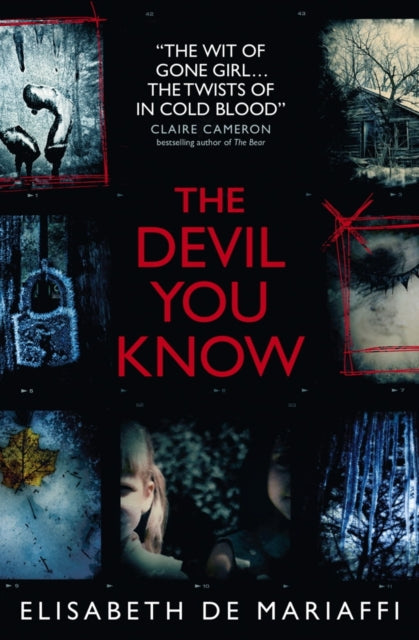 Book cover of: Devil You Know. By: Elisabeth De Mariaffi