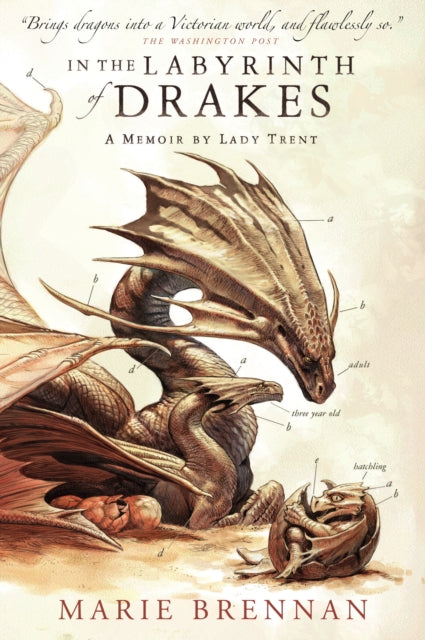 Book cover of: In the Labyrinth of Drakes. By: Marie Brennan
