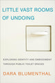 Book cover of: Little Vast Rooms of Undoing. By: Dara Blumenthal