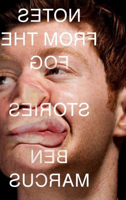 Book cover of: Notes from the Fog