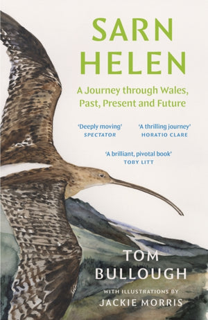 Sarn Helen, A Journey Through Wales, Past, Present and Future