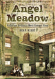 Angel Meadow, Victorian Britain's Most Savage Slum 9781783831524 Dean J. Kirby